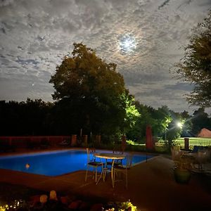 King Room Garden View